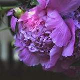 Виктория Жеглова, 17.07.2001