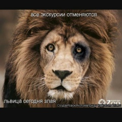 Оксана Ечеина, 12.08, Калининград