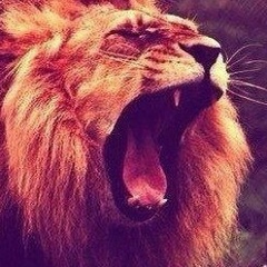 Сергей Нестеров, 16.12, Москва