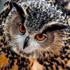 Евгения Женечка, 22.05