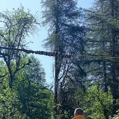 Здрасьте Приехали, Санкт-Петербург