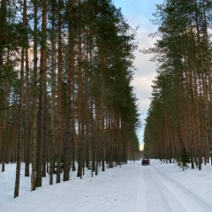Татьяна Бородич, Санкт-Петербург