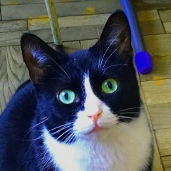 Eugene Khismatullin, 22.04.1990, Санкт-Петербург