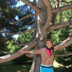 Alexandra Krivko, Тараз