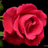 Ирина Микитчина