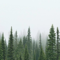 Женя Даскал, 11.03.1991, Киев