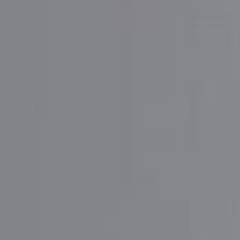 Вика Вишина