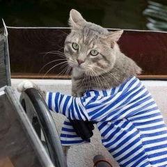 Артем Павлов, 18.01.1984, Мурманск