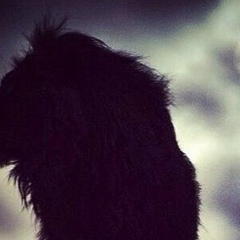 Тимур Бекаев, 06.04.1995, Грозный