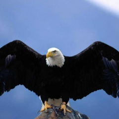 Mmahmedm Ahmed, 23.09, Hurghada