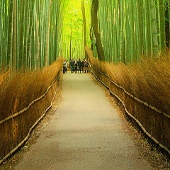 Олег Бельчиков, Санкт-Петербург