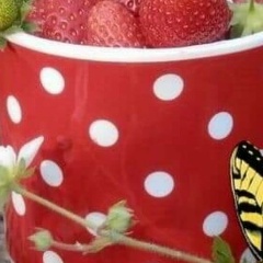 Натали Недоверчивая, 08.11.1972, Астана