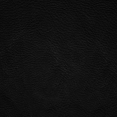 Юлия Шевырёва, Мурманск