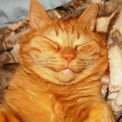 Susanna Trizno, 01.03, Санкт-Петербург