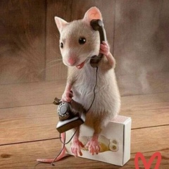 Наиля Закирова, 03.10.1958, Казань