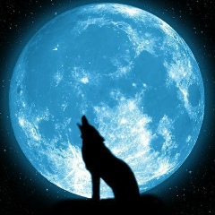 Nursultan Berdishev, 21.05.1991