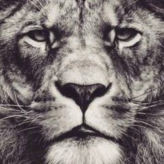 Alihan Baskaev, 19.10