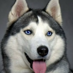 Александр Моргунов, 05.11.1987, Тамала