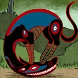 Дмитрий Суркин, 28.09.1987, Ростов-на-Дону