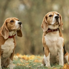 Сергей Конев, 11.04, Москва