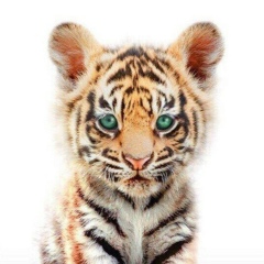 Александр Невский, 11.07, Москва