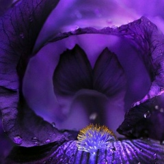 Марина Викторовна, 31.08, Витебск