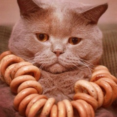 Оксана Мазурак, 12.07.1987, Львов