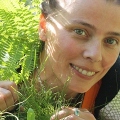 Эллис Студёнова