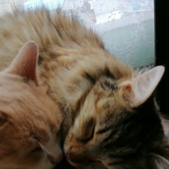 Владимир Рассказов, 30.04.1956, Агой