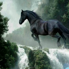 Ольга Пудова, 22.04, Санкт-Петербург