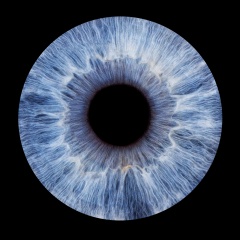 Stanley Pankin, 19.06, Санкт-Петербург