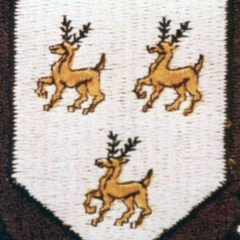 Іван Дудник, Adamstown