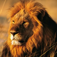 Еркен Сулейменов, 03.08, Астана