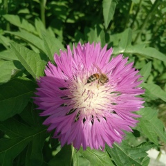 Алла Решетняк, 27.04, Одесса