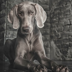 Елена Витальевна, 25.08