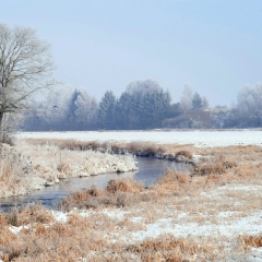 Дима Коваль, 24.12, Ромны