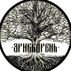 Тема Зривкорень, Екатеринбург