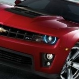 Виталик Ролдугин