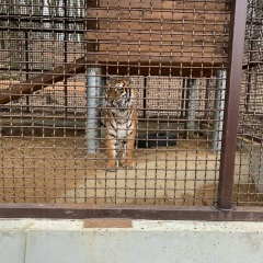 Ольга Макутина, 27.03.1982, Москва