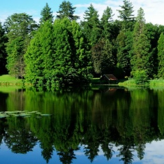 Олеся Титаренко, 01.12.1986, Ельники