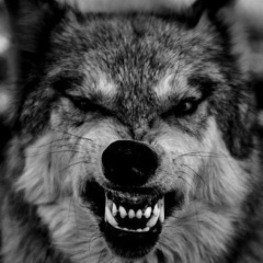 Александр Александрович, 13.08, Санкт-Петербург