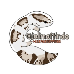 Johan Lim, 11.01, Surabaya