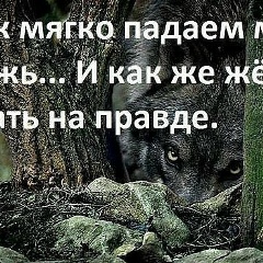 Максат Батаев