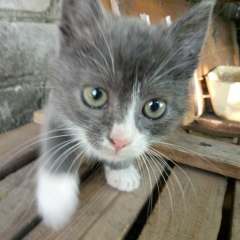 Валерий Антипов, 01.03.1988, Днепр (Днепропетровск)