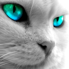 Катерина Попова, 27.01, Москва