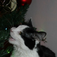 Юлия Кременцова, 13.06