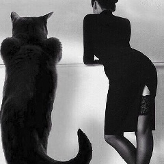 Анна Гордей, 03.12, Санкт-Петербург