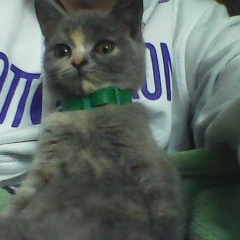 Илья Гордийчук, 07.03.1997, Подольск / Котовск