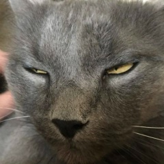 Onlygodcan Judqeme, 19.03.1989, Москва