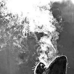 Магамед Алханов, 01.05.1970, Ноябрьск